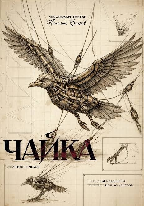 Чайка